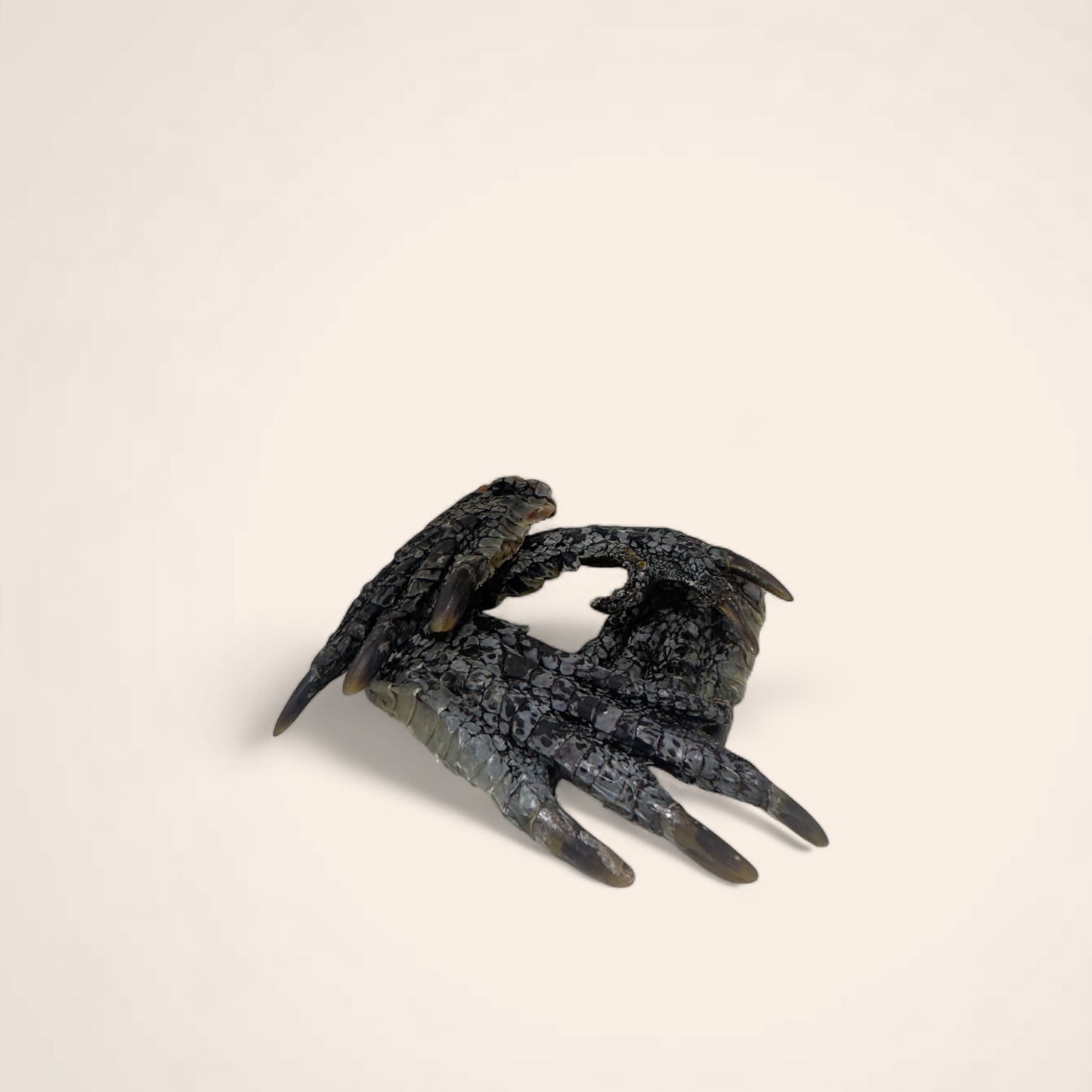 Crocodile Claws