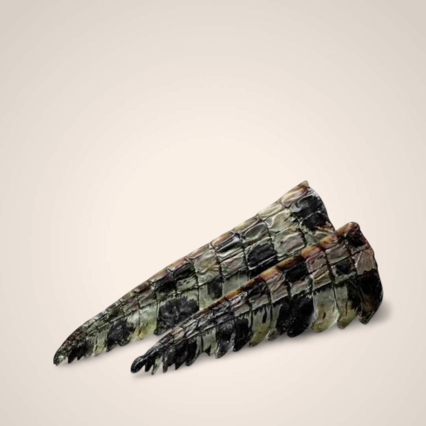 Crocodile Tail Tips
