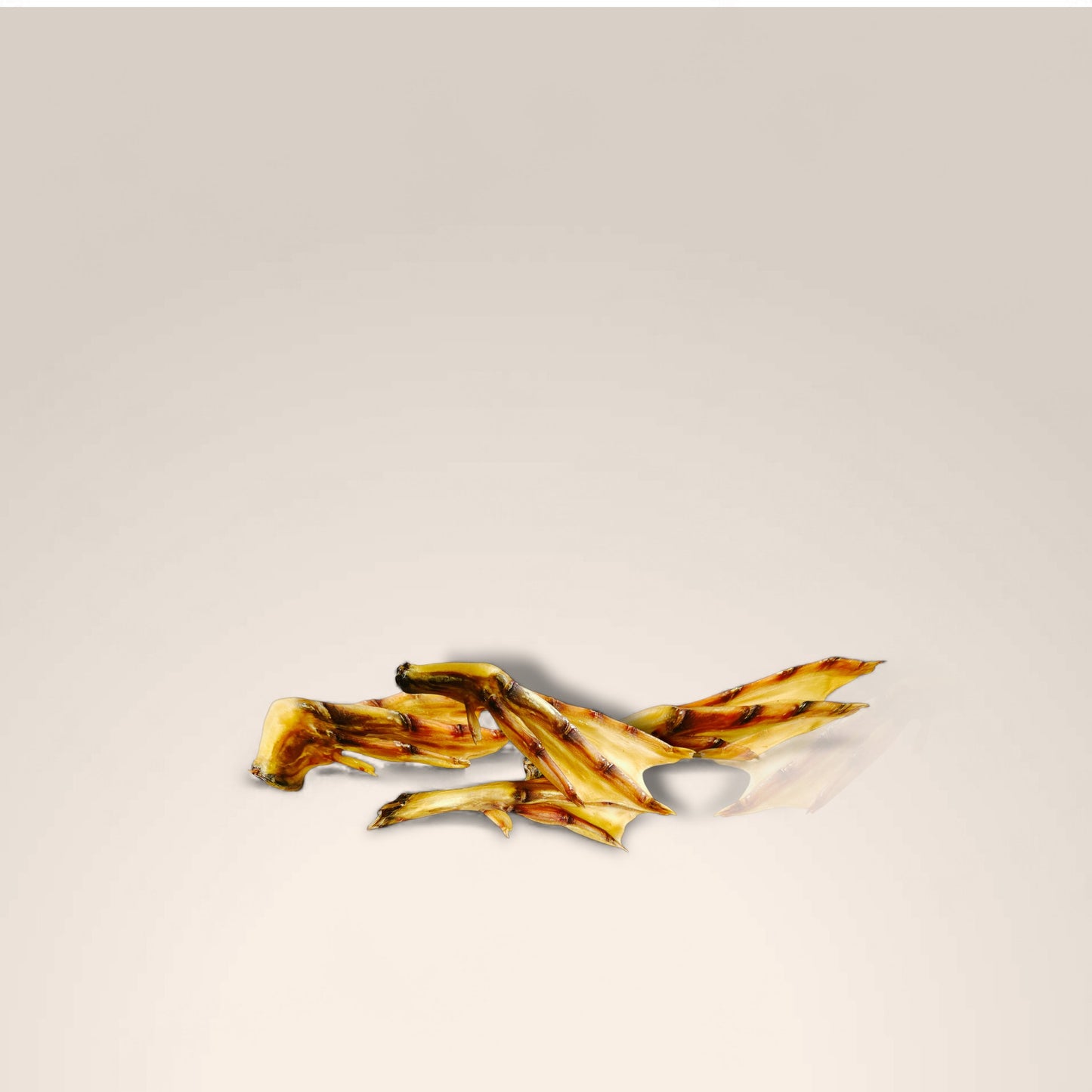 Duck Feet