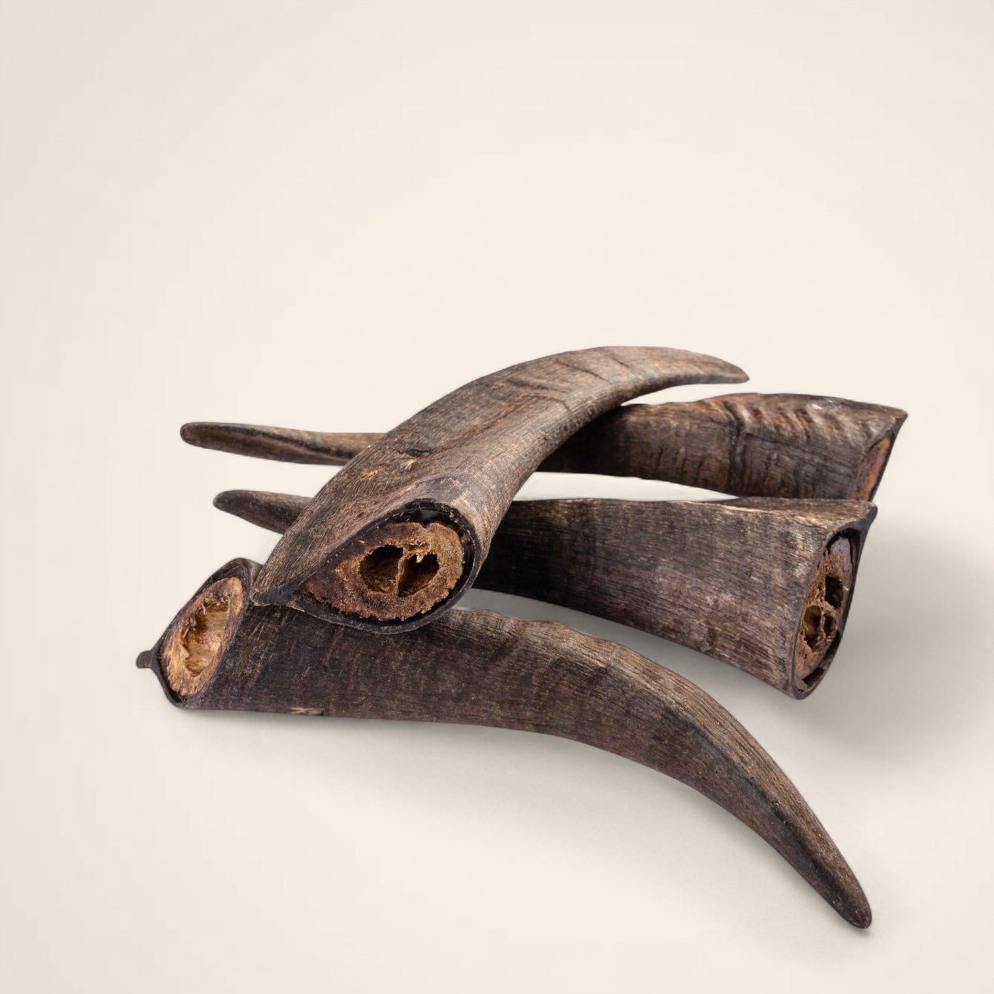 Goat Horns