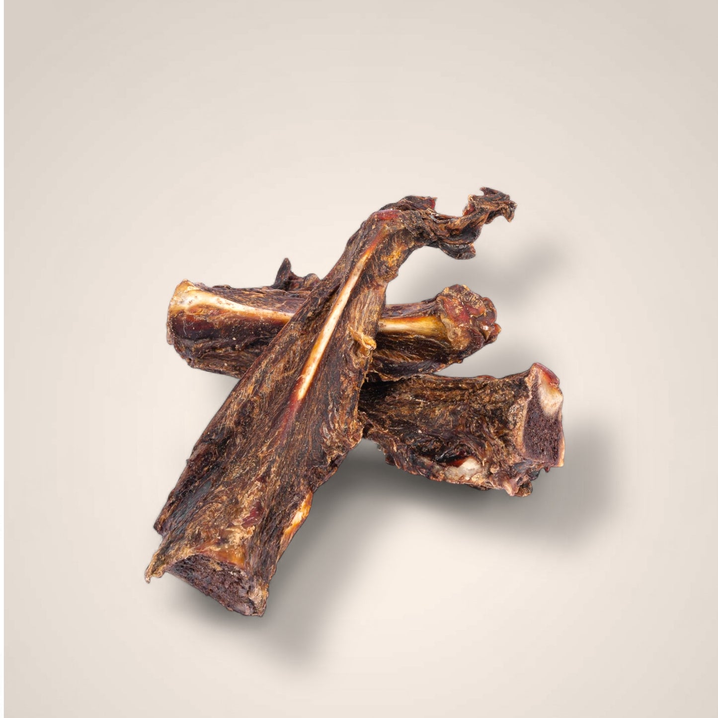 Kangaroo Bones