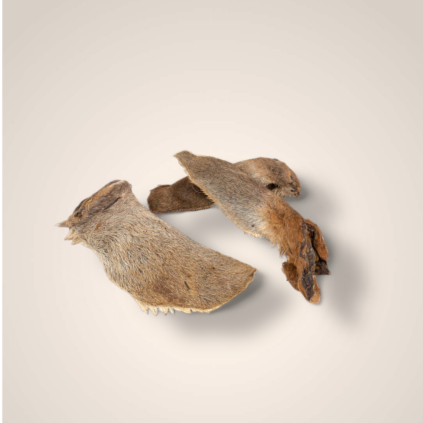 Kangaroo Ears