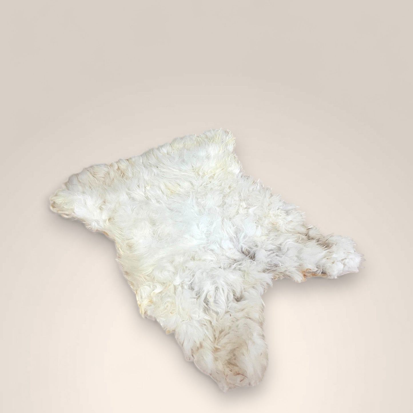 Rabbit Pelts