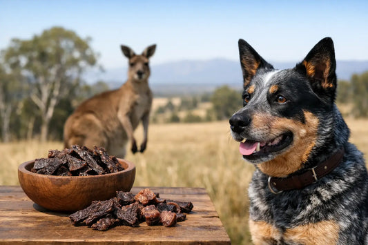 Kangaroo Dog Treats Review for Australian Dogs