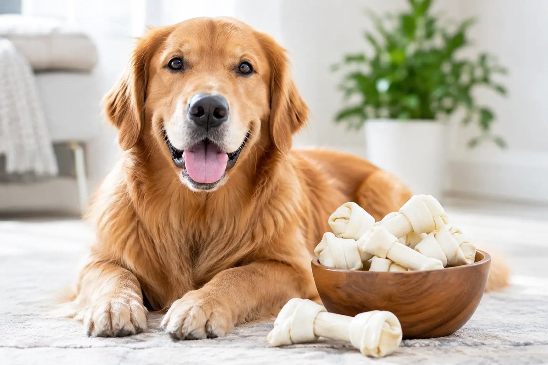 Why Rawhide Free Treats Matter for Dogs