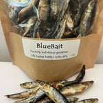 Bluey's Bluebait