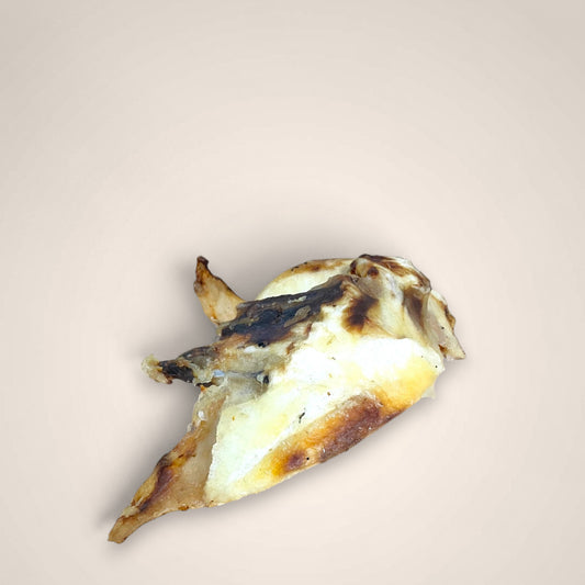 Emu Pelvis