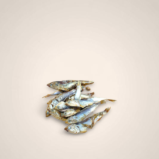 Forage Fish