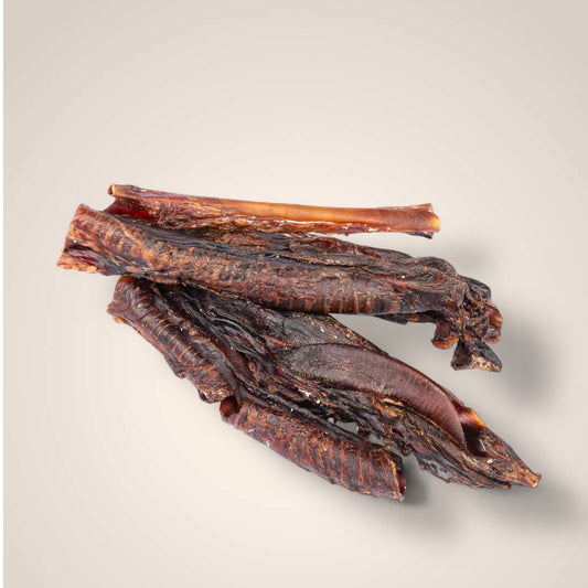 Kangaroo Trachea