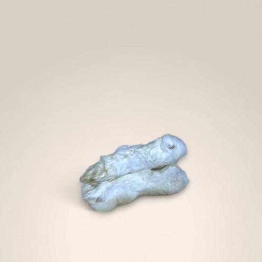 Rabbit Legs