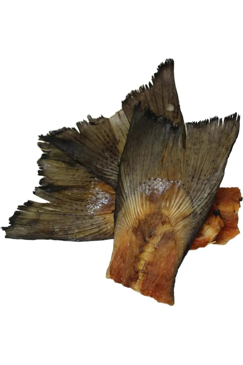 Salmon Tails