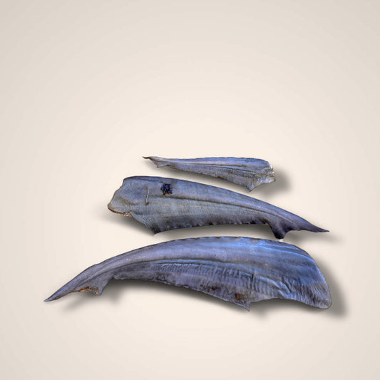Shark Tail Tips