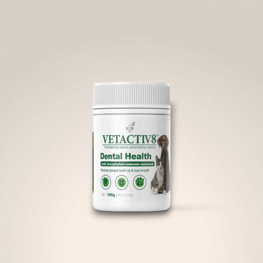 Vetactiv8 Dental Health