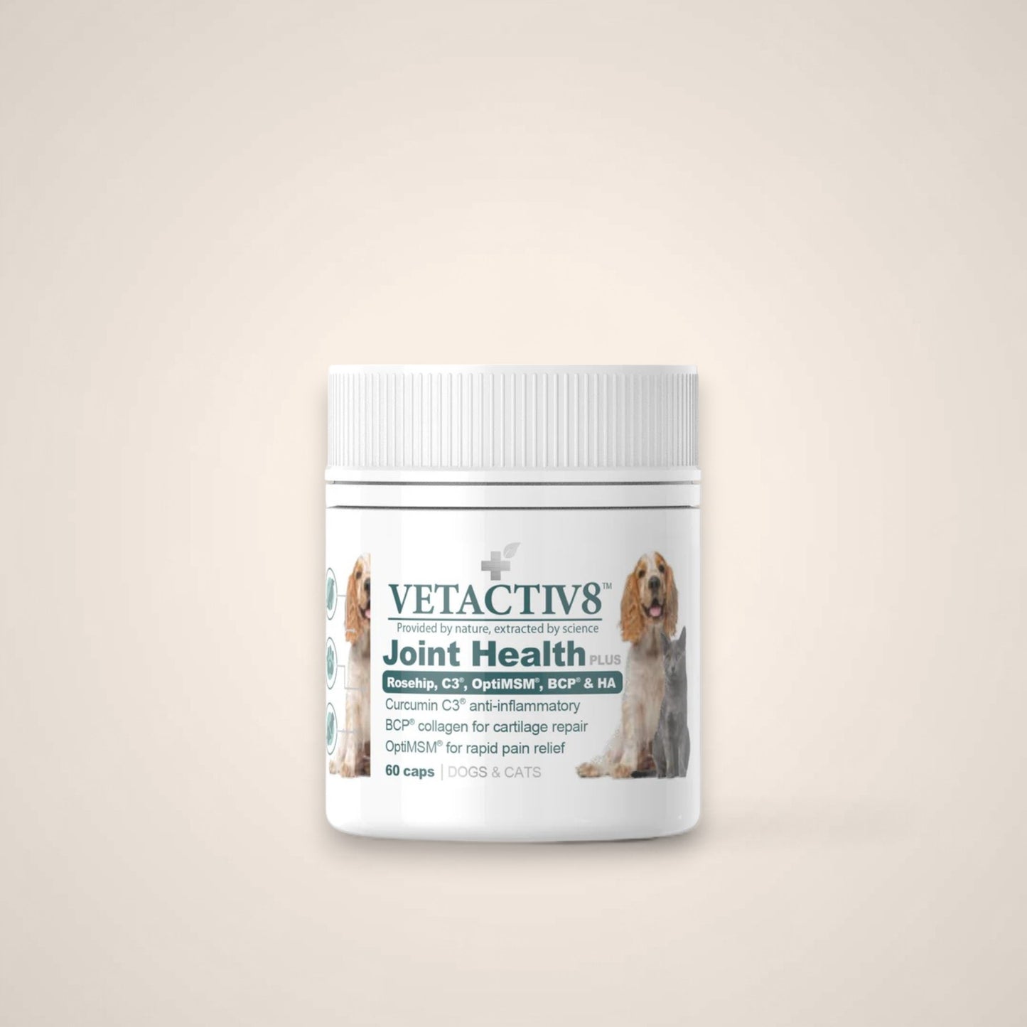 Vetactiv8 Joint Health