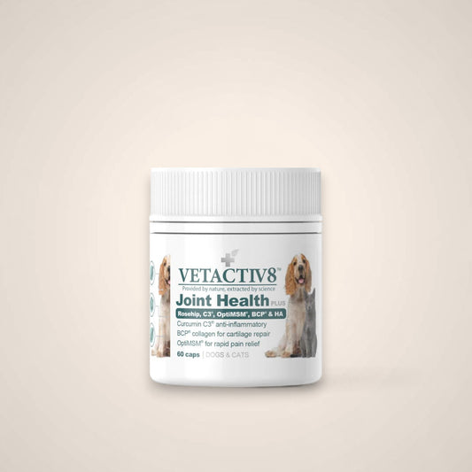 Vetactiv8 Joint Health