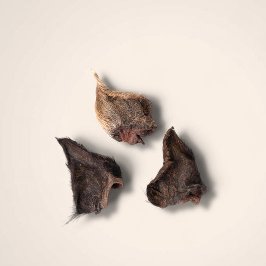 Wild Boar Ears